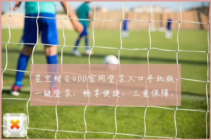 星空综合app官网登录入口手机版，一键登录，畅享便捷，三重保障，安全无忧，体验非凡。