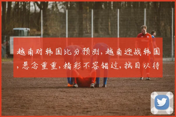 越南对韩国比分预测,越南迎战韩国,悬念重重,精彩不容错过,拭目以待