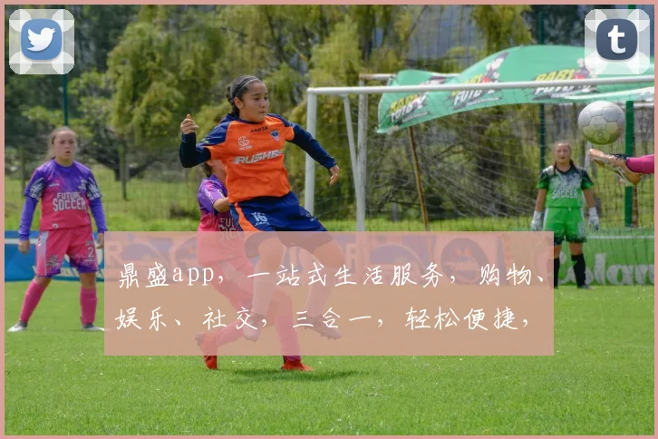 鼎盛app，一站式生活服务，购物、娱乐、社交，三合一，轻松便捷，尽在掌握