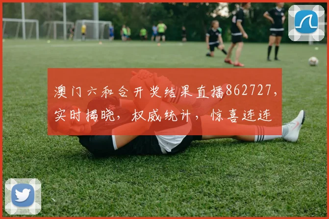 澳门六和合开奖结果直播862727，实时揭晓，权威统计，惊喜连连